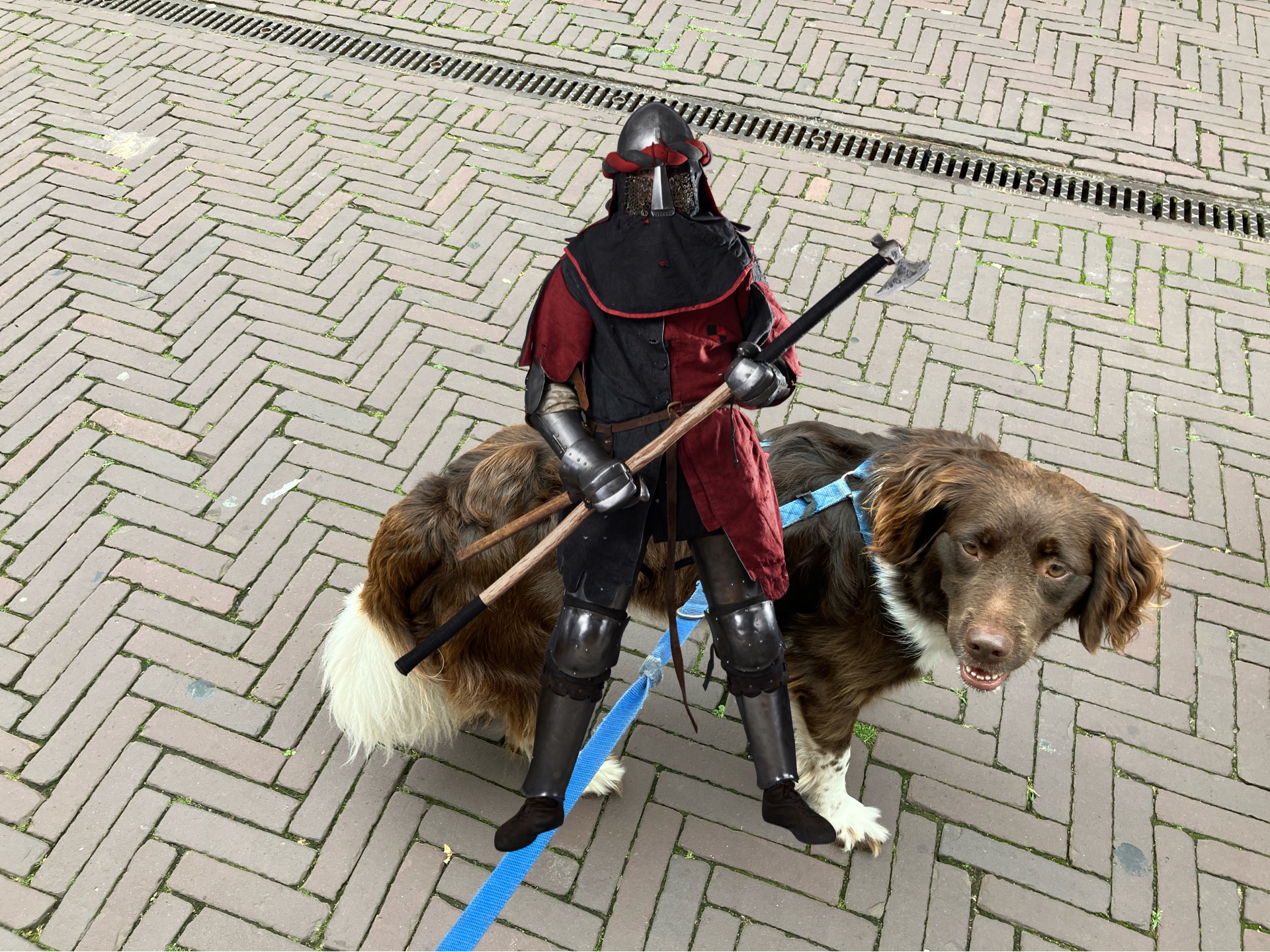 Teamfoto van Nova